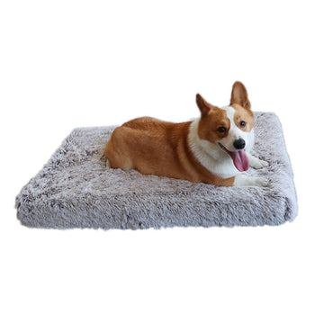 Plush Memory Foam Dog Bed